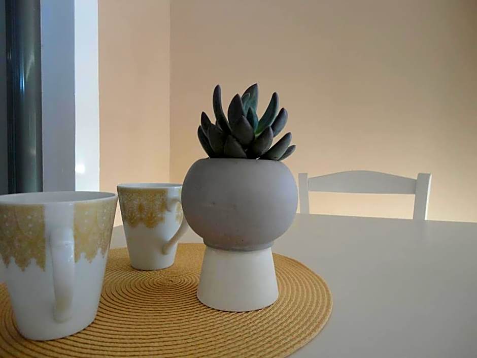 Nissi Collection Rooms