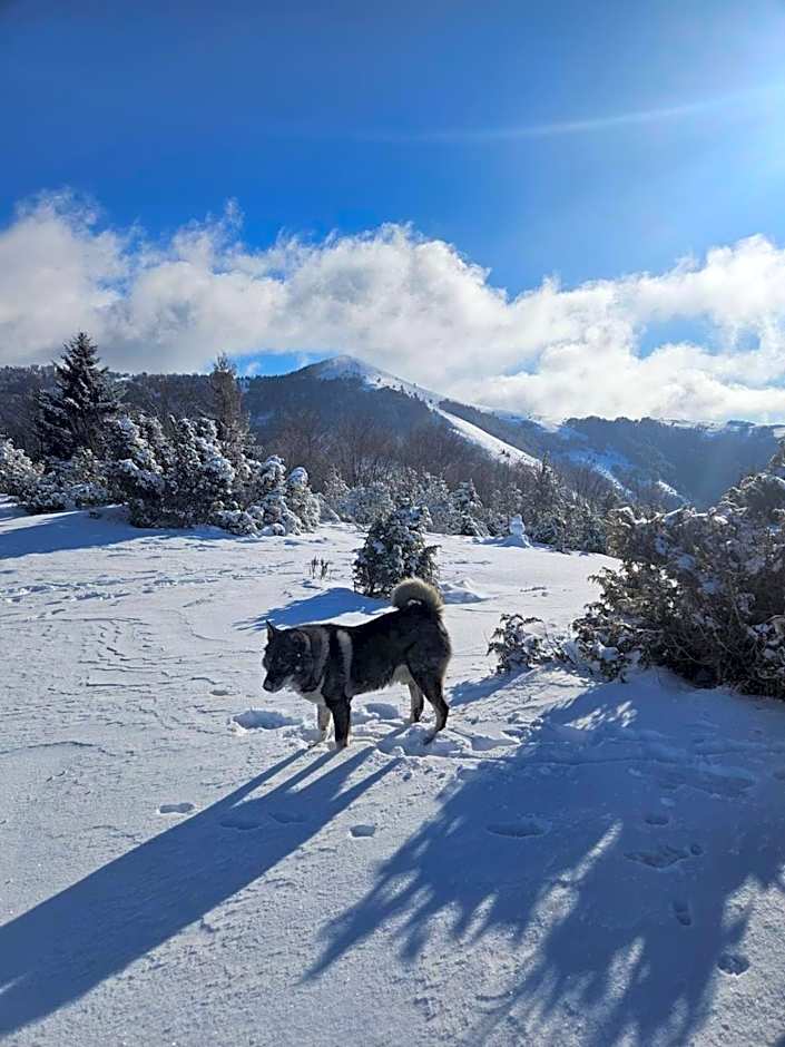 Hotel Kraljevi Čardaci