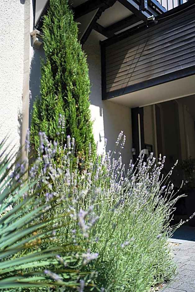 TOP CountryLine Hotel Ritter Badenweiler