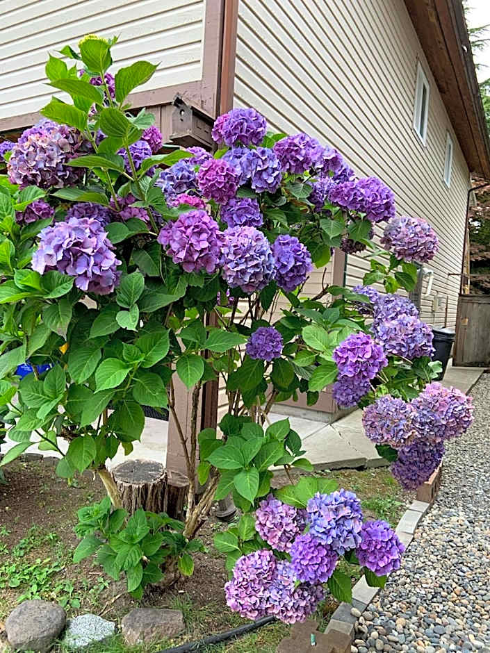 Orchid House near Vancouver YVR Airport