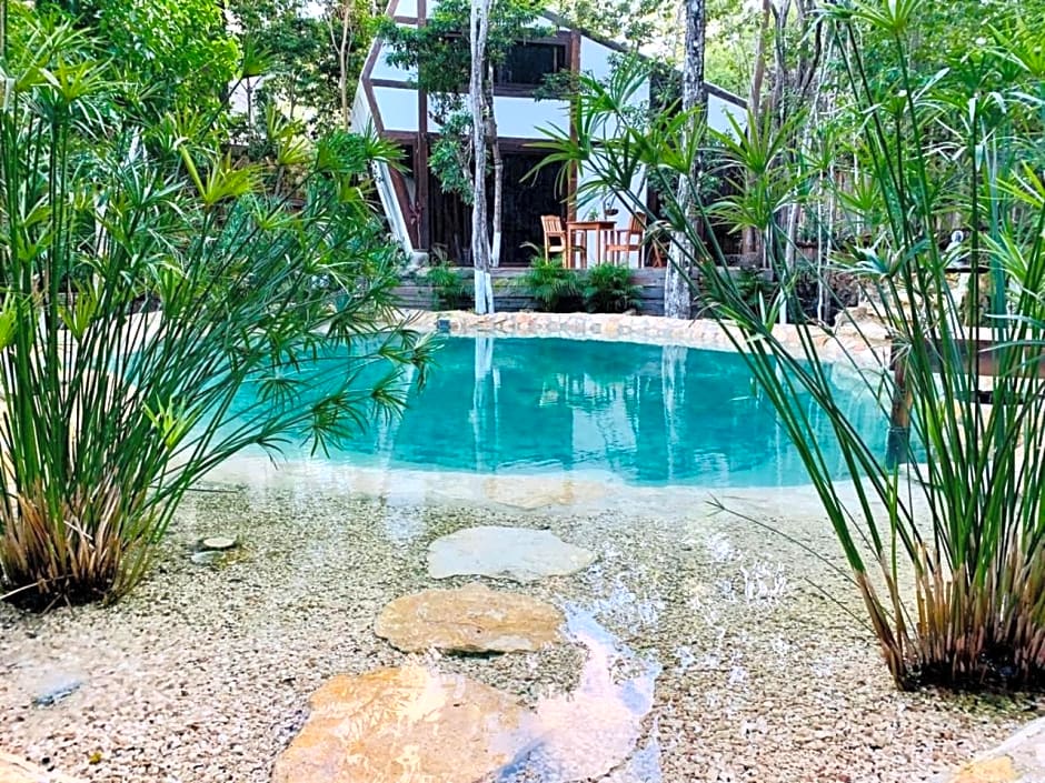 Nahouse Jungle Lodges