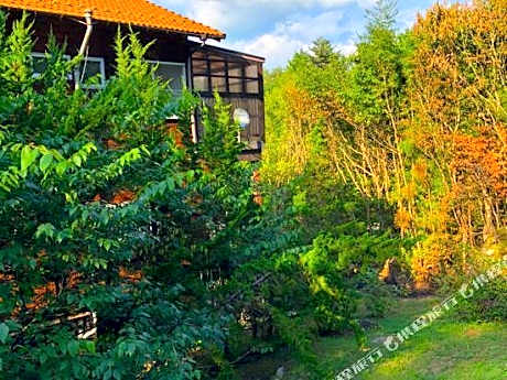 El mas alto VILLA IZUMI