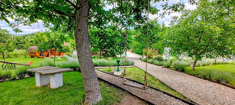 Reichau Transilvania