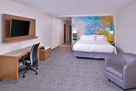 Larger King Room