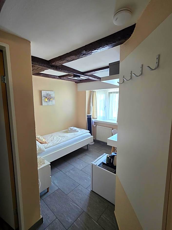 Hotel Surselva
