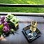 Hotel Athen Kelsterbach Frankfurt Airport
