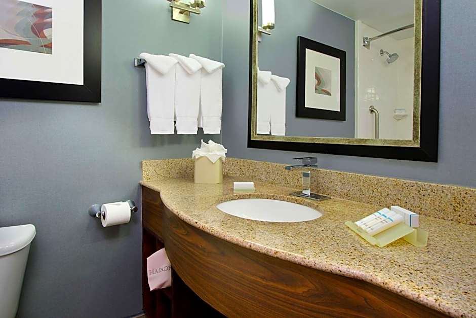 Hilton Garden Inn Austin Nw/Arboretum
