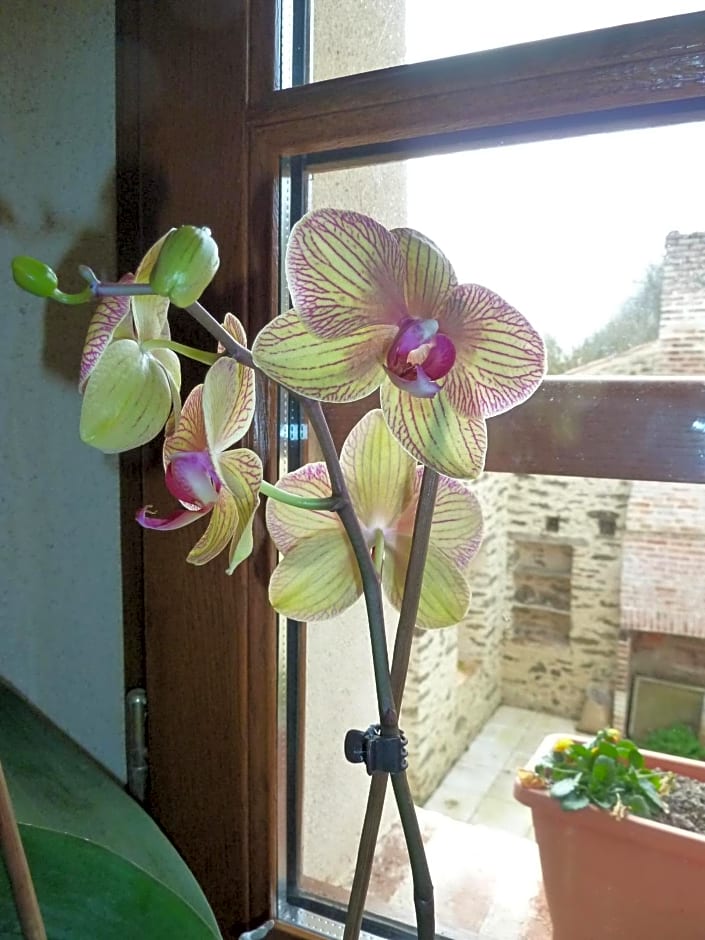 Le Moulin de Drapras