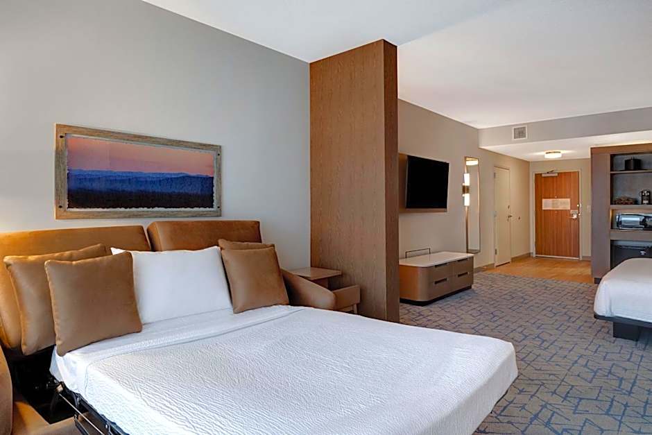 Fairfield Inn & Suites by Marriott Minneapolis Downtown