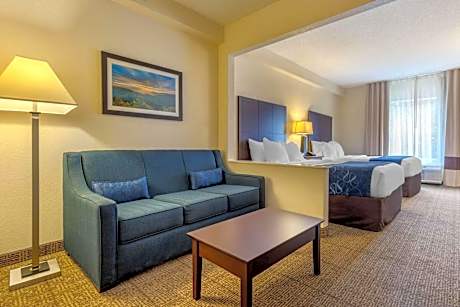 Comfort Suites Gastonia - Charlotte