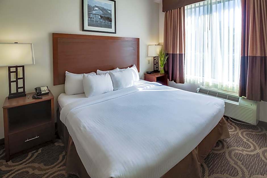 Ashmore Inn And Suites Lubbock