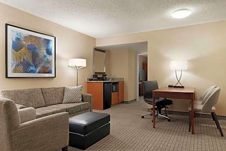 1 King Bed - 2 Room Suite