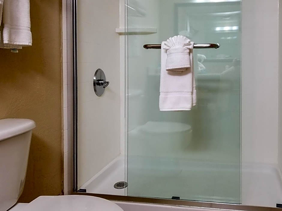 Holiday Inn Express Hotel & Suites Orange City By IHG