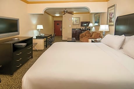 Suite King Bed Non Smoking