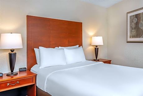 Queen Room - Non-Smoking