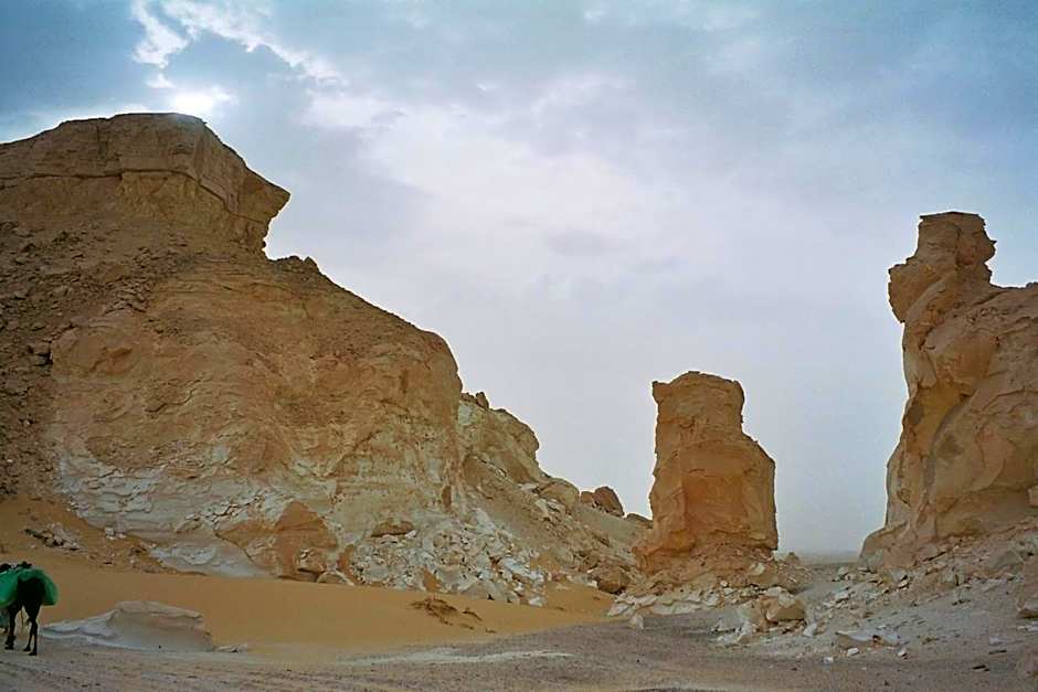 Western Desert Hotel & Safari