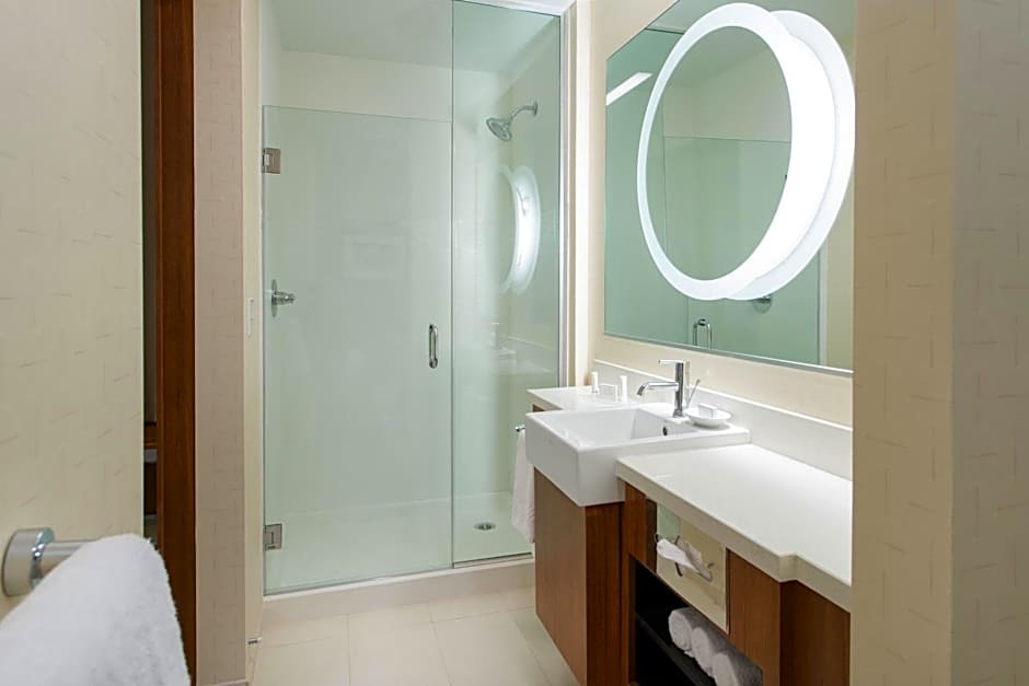 SpringHill Suites by Marriott Los Angeles Burbank/Downtown