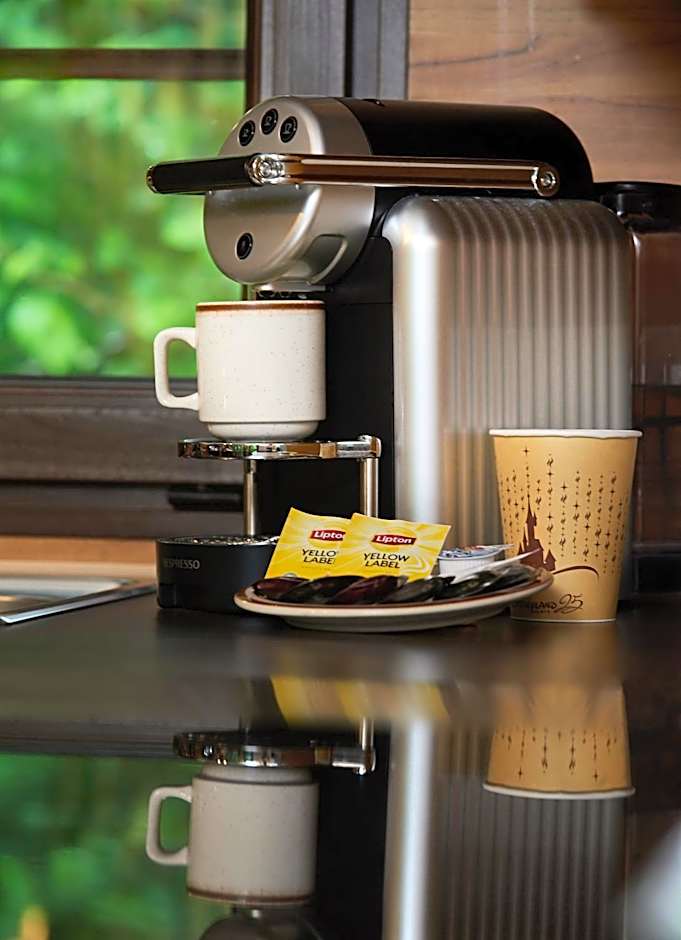 Disney Davy Crockett Ranch