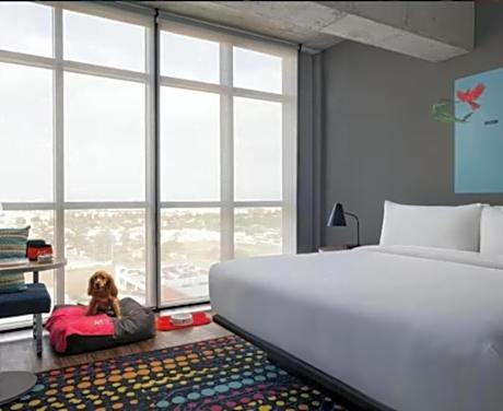 Savvy, Suite, 1 King