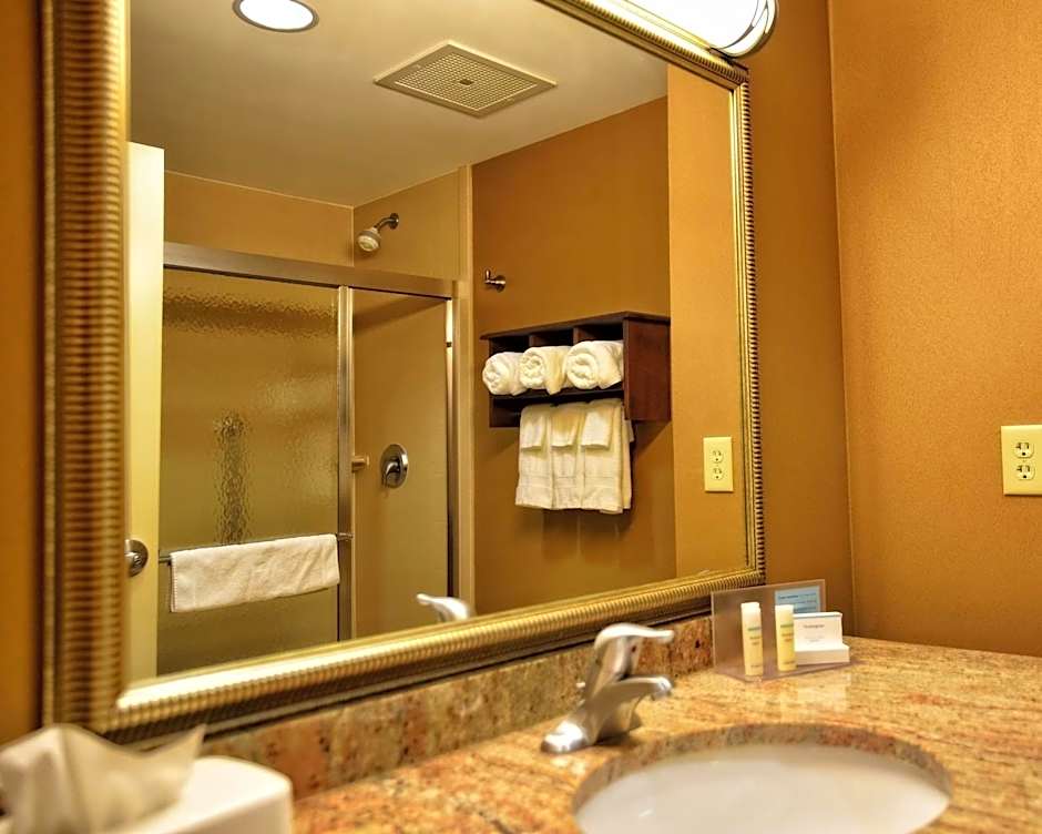 Hampton Inn By Hilton Geneseo