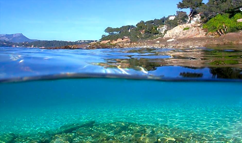 Les Pieds dans l'Eau