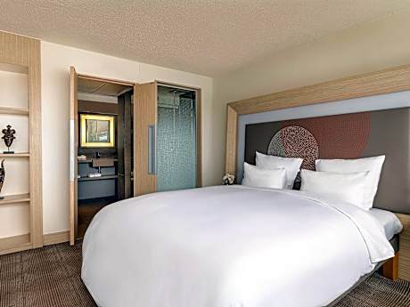 Superior Room with one double bed and river view