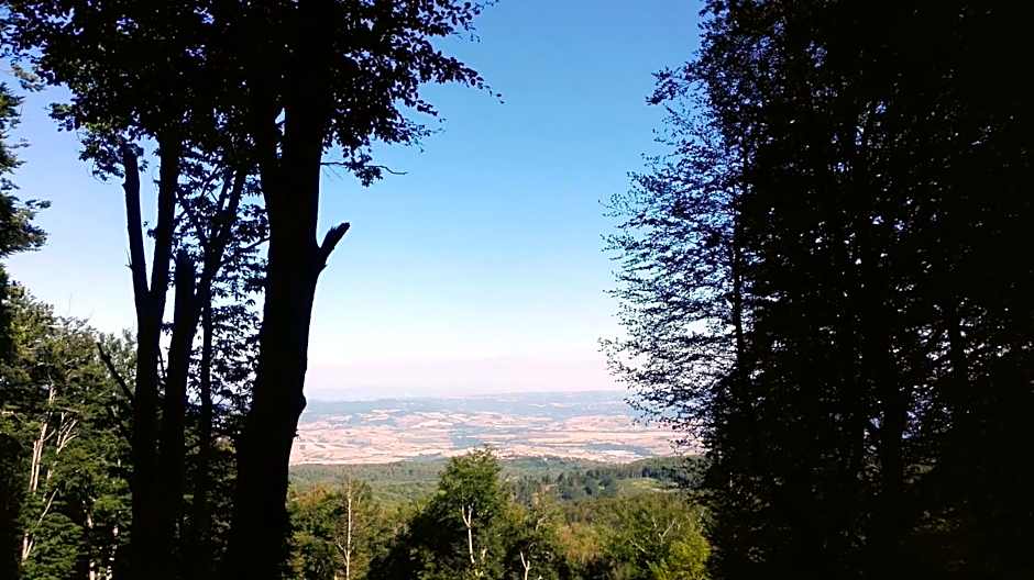 Thalassa Locanda B&B e appartamento