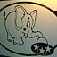 L'elefante