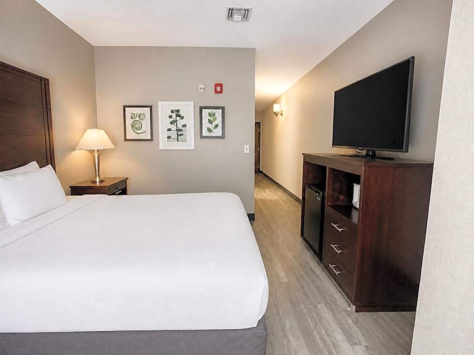 Country Inn & Suites by Radisson, Pensacola West, FL