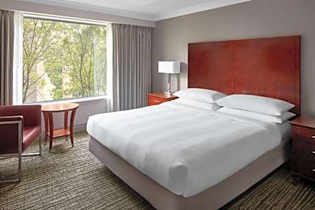 Deluxe One-Bedroom King Suite with Sofa Bed