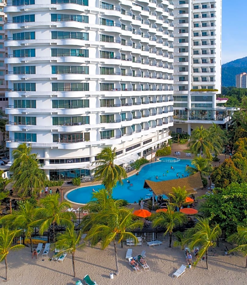 Flamingo By The Beach