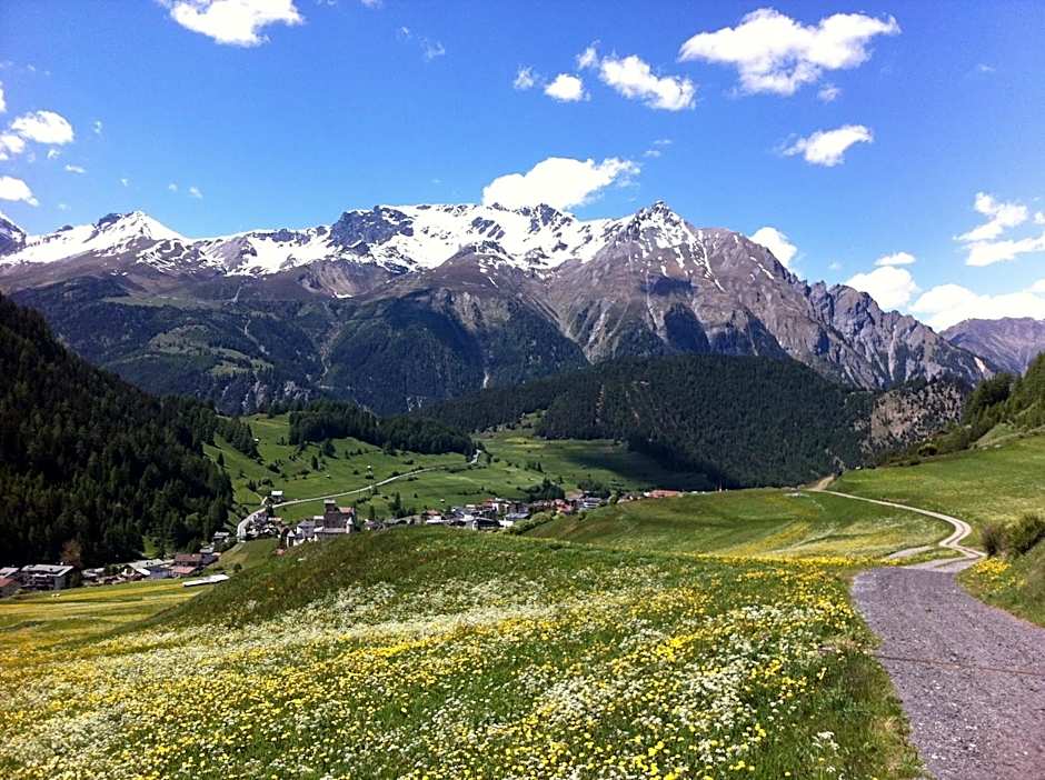 Alpin Art & Spa Hotel Naudererhof Superior