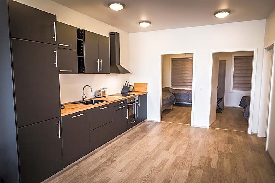 Photo 1 of 16 of Deluxe 2 Bedroom Apartment