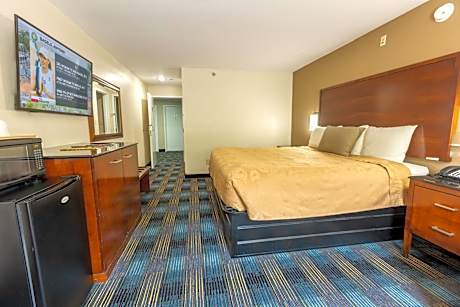 Non Smoking Deluxe King Room