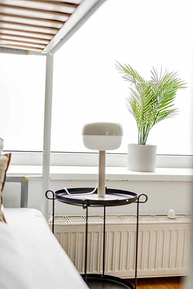 Central Apartment Lofts