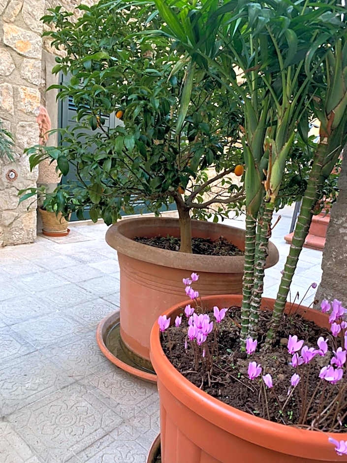 Hedera Capri B&B