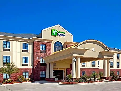 Holiday Inn Express Hotel & Suites Vidor South By IHG