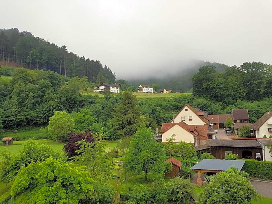 Landhotel zur Wegelnburg