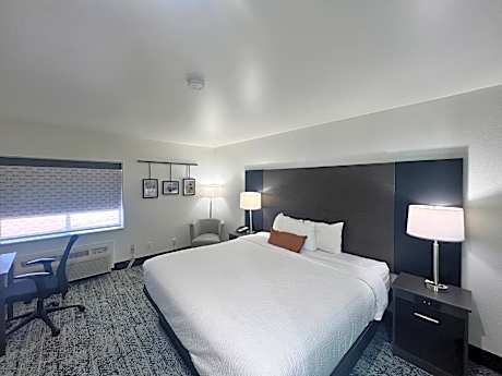 1 King Bed Non-Smoking