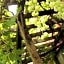 Guest House Grape House Koenji - Female Only 