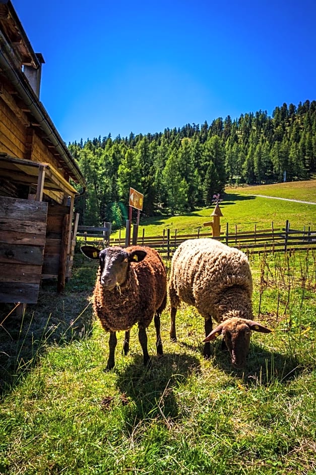 Ferienhütte Hoitahüttl