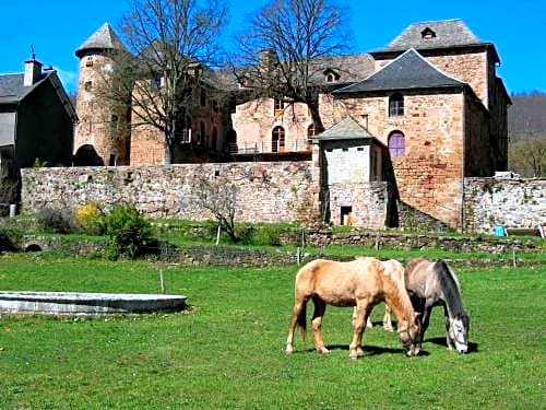 Château de Salelles