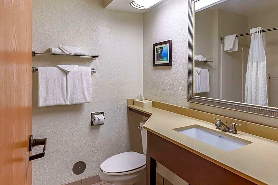 Comfort Inn Okemos