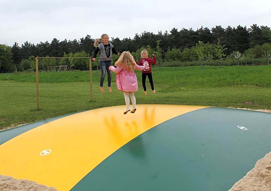 Horsetellerie Rheezerveen