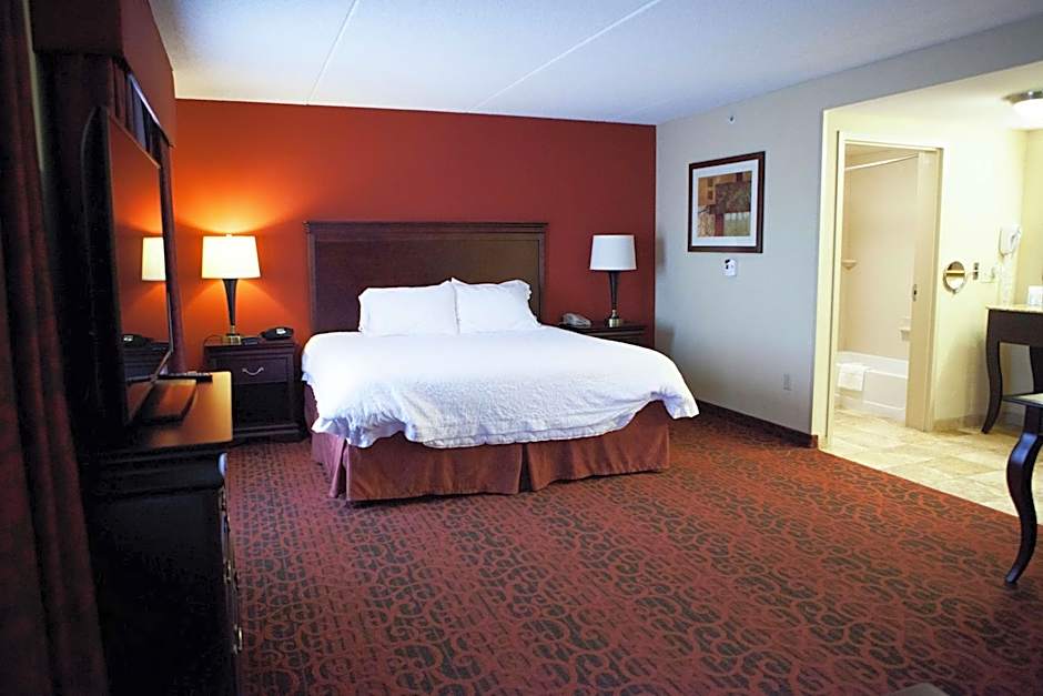 Hampton Inn By Hilton Rochester-Webster