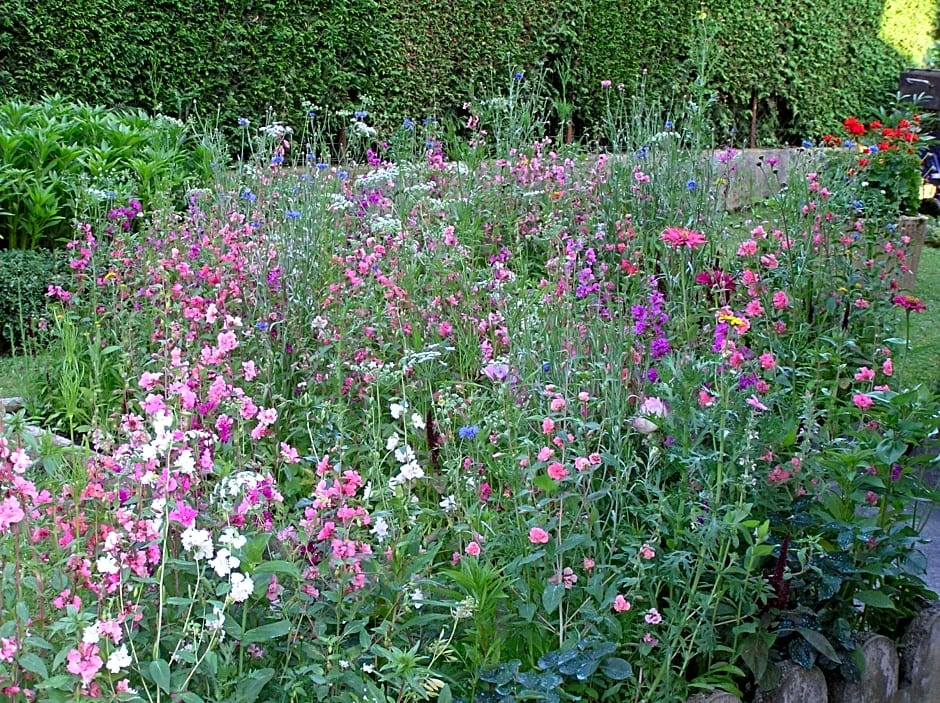 Chez Laurette et Louis