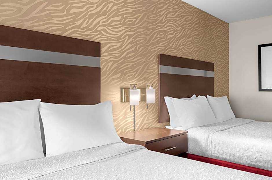 Hampton Inn By Hilton Atlanta Mcdonough