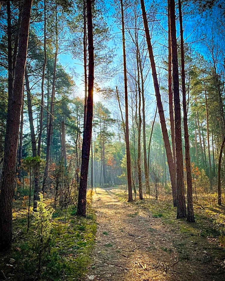 Park Rekreacyjno-Biznesowy Las Woda