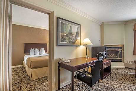 1 Queen Bed 2 Double Beds Efficiency Suite Smoking