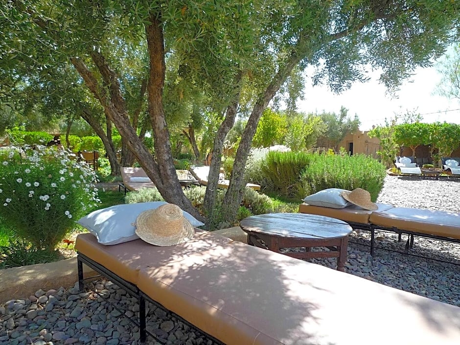 Les Jardins De Skoura